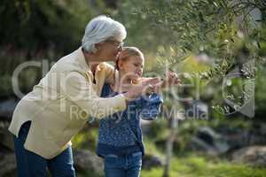 Granddaughter and grandmother touching tree in garden