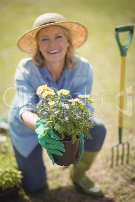 Senior woman offering a plant sapling in garden