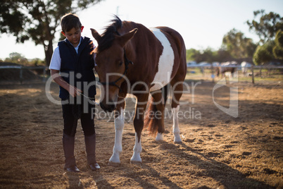 Boy holding the reins of a horse in the ranch