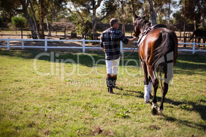 Man walking with horse in the ranch