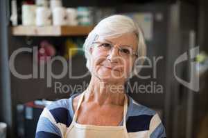 Senior woman in the kitchen