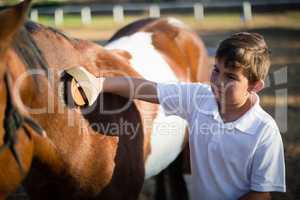 Boy grooming the horse in the ranch