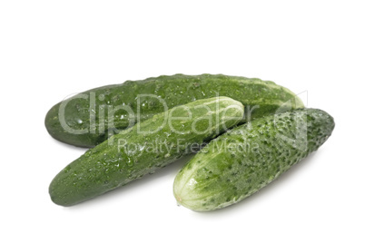 Green cucumber on a white background.