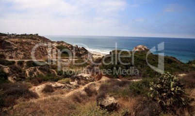 Summer at the San Clemente State Beach