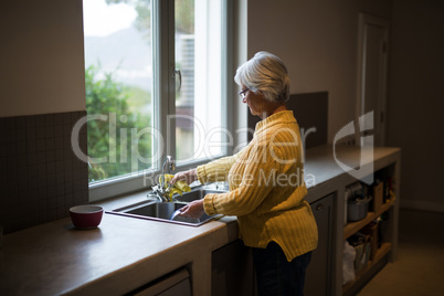 Senior woman washing dish in kitchen sink