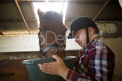 Girl feeding the horse in the stable