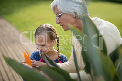 Granddaughter and grandmother looking at a yellow flower on the plant