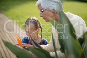 Granddaughter and grandmother looking at a yellow flower on the plant