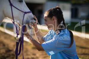 Side view of female vet checking horse teeth