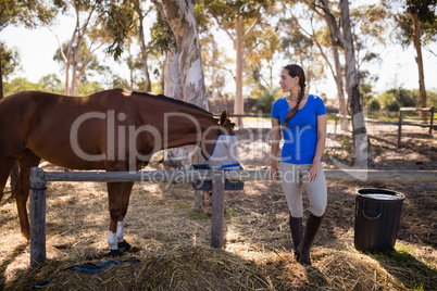 Full length of woman standing by horse