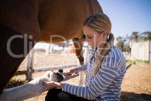 Side view of female vet attaching horse shoe on foot