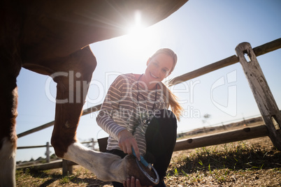 Smiling female vet attaching shoe on horse foot