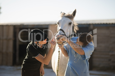 Female jockey and vet examining horse mouth