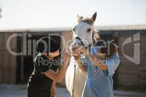 Female jockey and vet examining horse mouth