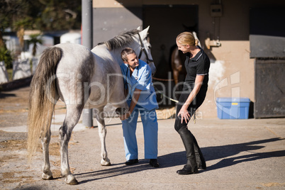 Female jockey talking to vet examining horse hoof