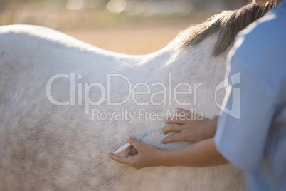 Midsection of vet injecting horse at barn