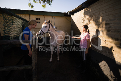 Women cleaning horse at barn