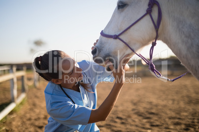 Female vet examining horse mouth