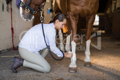 Side view of female vet examining horse