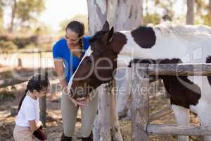 Woman assisting sister for cleaning horse