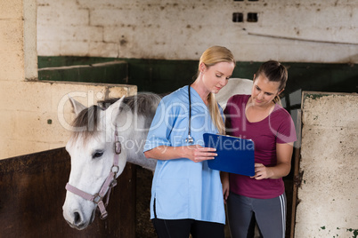 Female vet showing records to woman while standing by horse