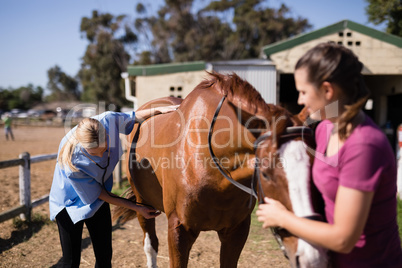 Vet with woman checking horse while standing on field