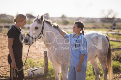Jockey talking to vet while standing by horse at barn