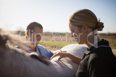 Female jockey with vet examining horse