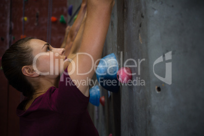 Side view of athlete climbing wall in gym