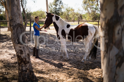 Side view of female jockey with horse