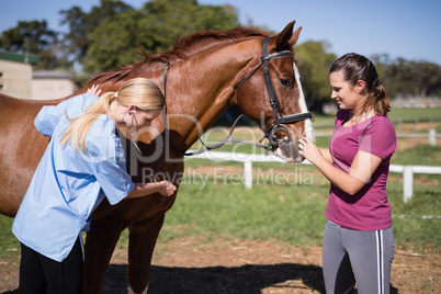 Female vet with woman checking horse