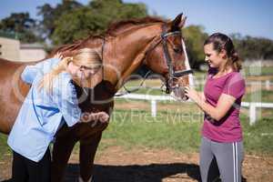 Female vet with woman checking horse
