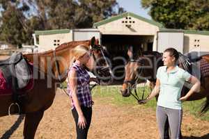 Female friends talking while standing with horses