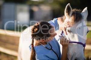 Close up of female vet examining horse eye