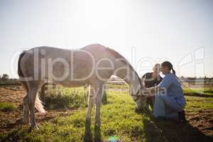 Woman and vet tending to horse