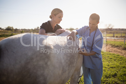 Woman stroking while vet giving injection at horse