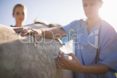 Woman looking at vet injecting horse in barn during sunny day
