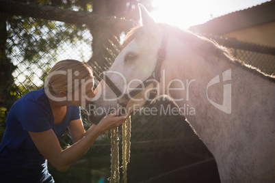 Young woman kissing horse at barn
