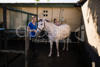 Women cleaning white horse at barn