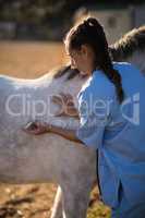 Vet injecting horse at barn