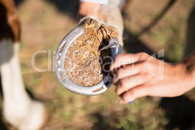 Cropped hand of female vet examining horse hoop