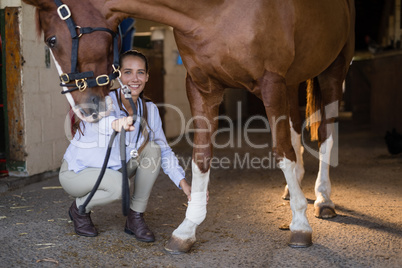 Female vet examining horse in stable
