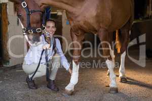 Female vet examining horse in stable