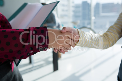 Cropped hands of female colleagues giving handshake