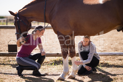 Female vet with woman looking at horse leg