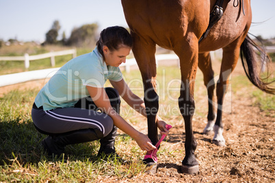 Side view of female jockey tying fabric strap on horse foot