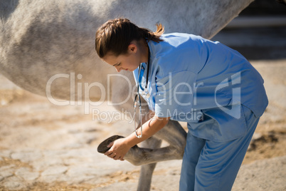 Side view of female vet examining horse hoof