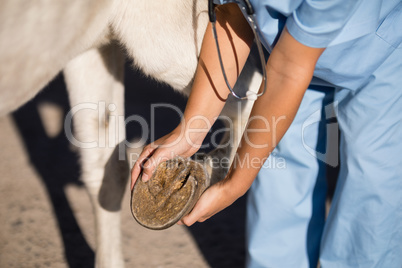Midsection of female vet examining horse hoof