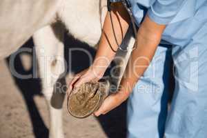 Midsection of female vet examining horse hoof