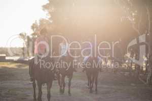 Male trainer guiding women in riding horse